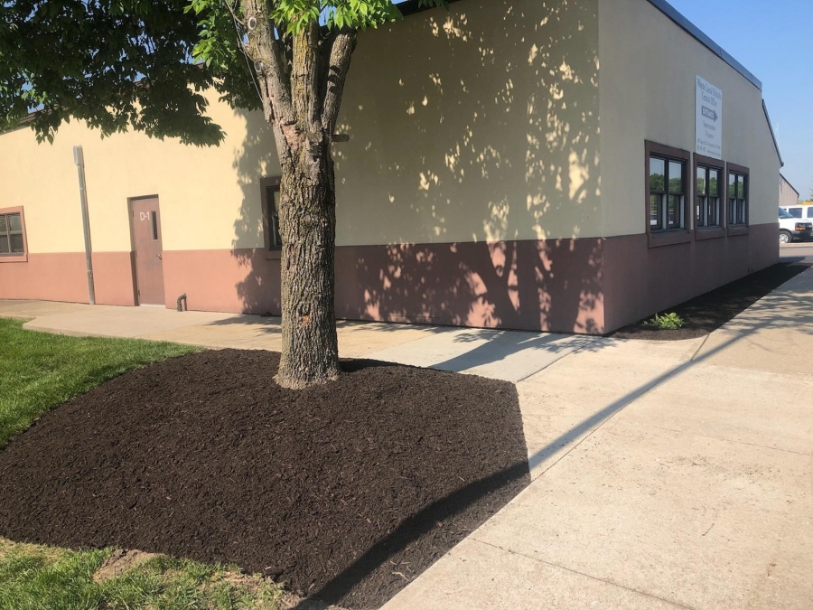 mulch and shrubs